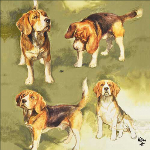 Beagles  - Servietten 33x33cm