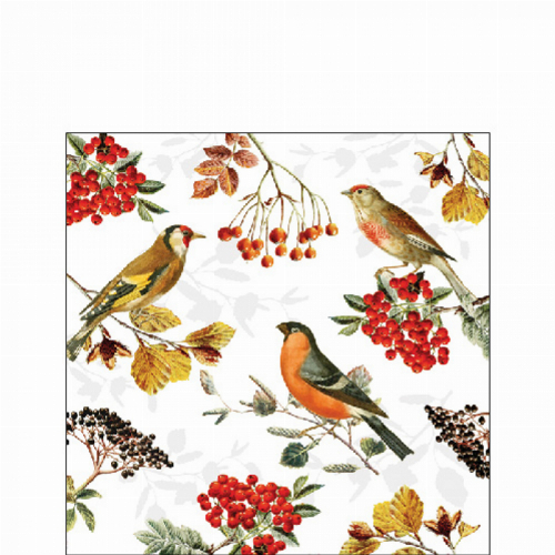 Herbst Vögel  - Servietten 33x33cm